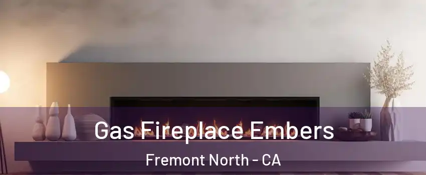 Gas Fireplace Embers Fremont North - CA