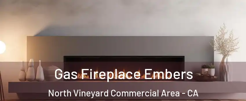 Gas Fireplace Embers North Vineyard Commercial Area - CA