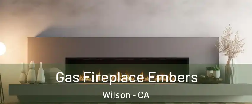 Gas Fireplace Embers Wilson - CA
