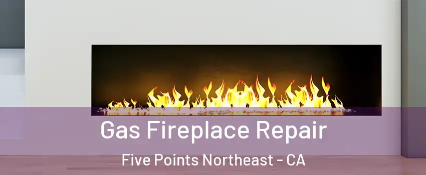 Gas Fireplace Repair Five Points Northeast - CA