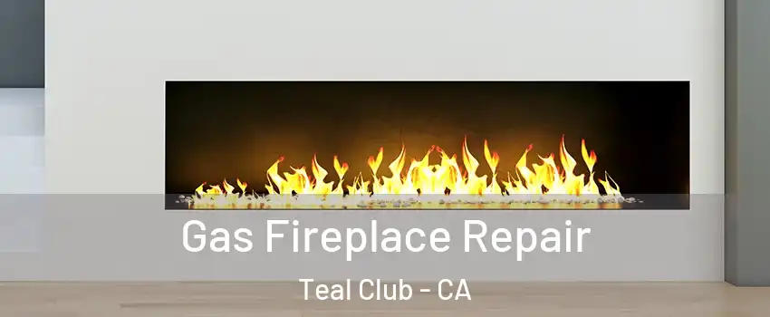 Gas Fireplace Repair Teal Club - CA