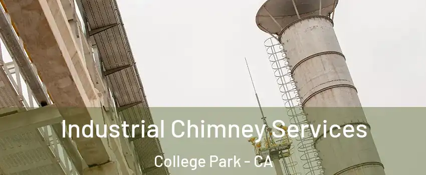 Industrial Chimney Services College Park - CA