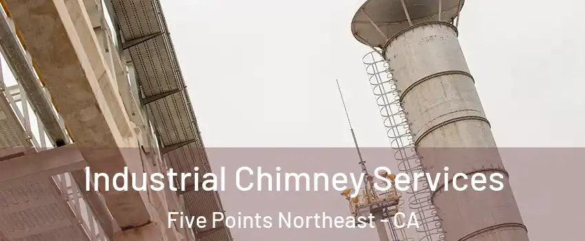 Industrial Chimney Services Five Points Northeast - CA