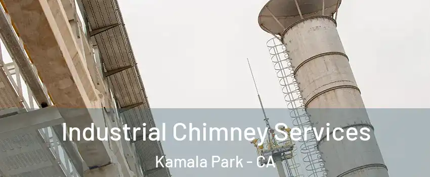 Industrial Chimney Services Kamala Park - CA