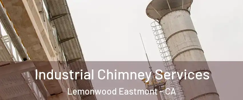 Industrial Chimney Services Lemonwood Eastmont - CA