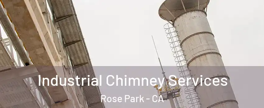 Industrial Chimney Services Rose Park - CA