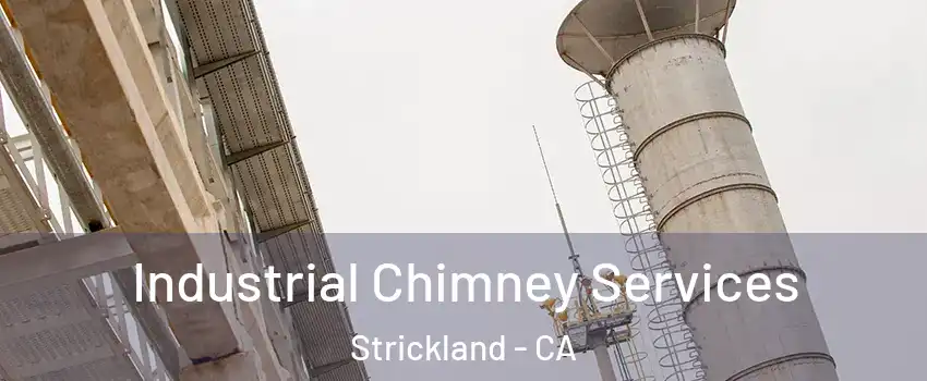 Industrial Chimney Services Strickland - CA