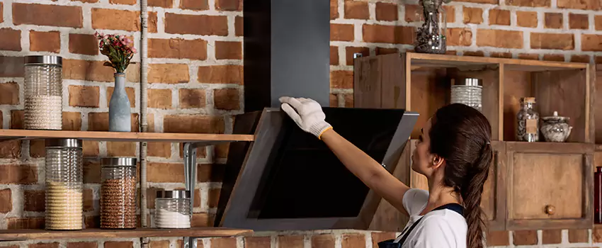 Chimney Installation in Hobson Park East, CA