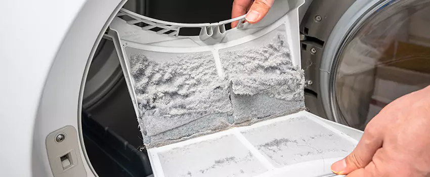 Best Dryer Lint Removal Company in Marina West, California