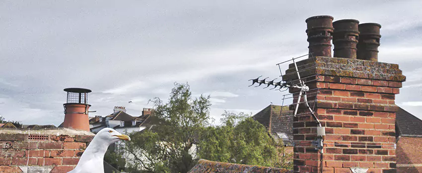 Chimney Cleaning And Restoration in Diamond Bar, California