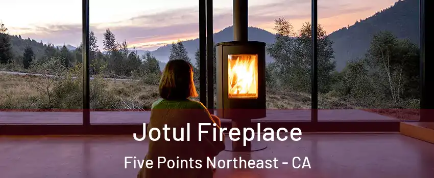 Jotul Fireplace Five Points Northeast - CA