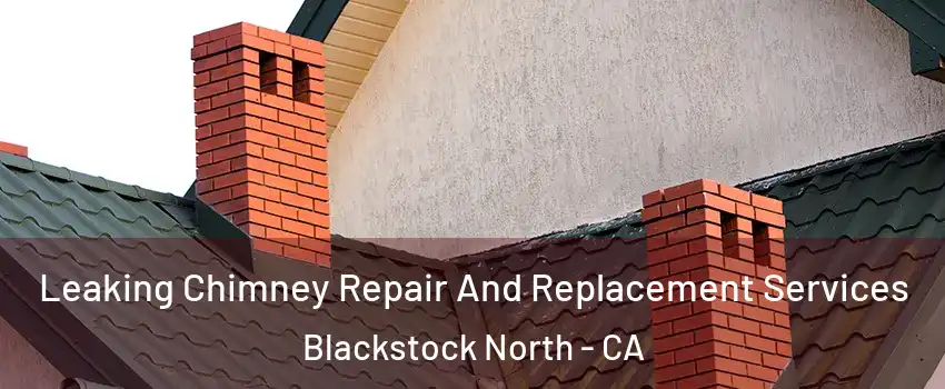 Leaking Chimney Repair And Replacement Services Blackstock North - CA