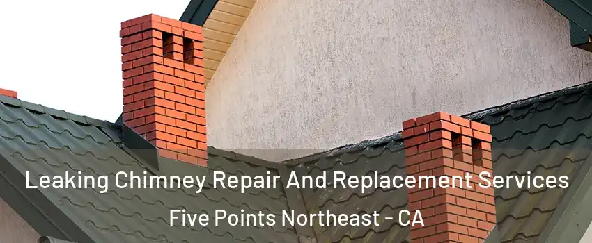Leaking Chimney Repair And Replacement Services Five Points Northeast - CA