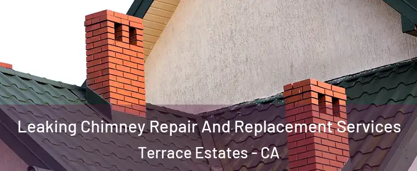 Leaking Chimney Repair And Replacement Services Terrace Estates - CA