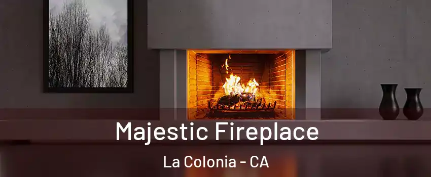 Majestic Fireplace La Colonia - CA
