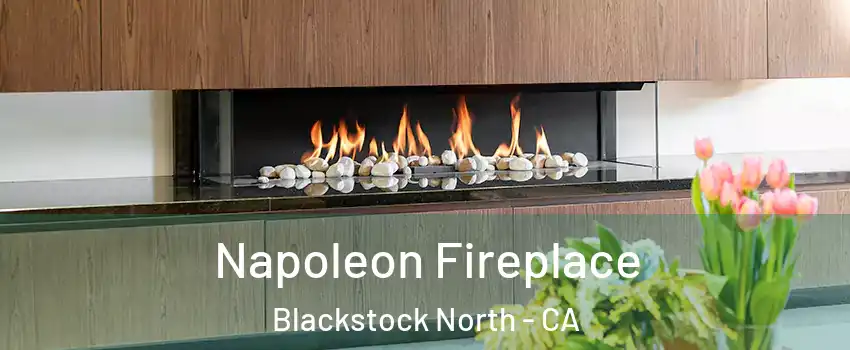 Napoleon Fireplace Blackstock North - CA
