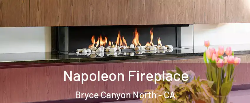 Napoleon Fireplace Bryce Canyon North - CA