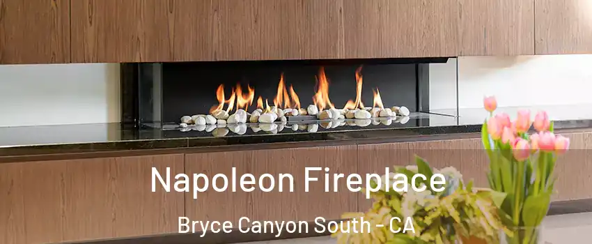 Napoleon Fireplace Bryce Canyon South - CA