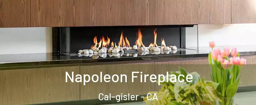 Napoleon Fireplace Cal-gisler - CA