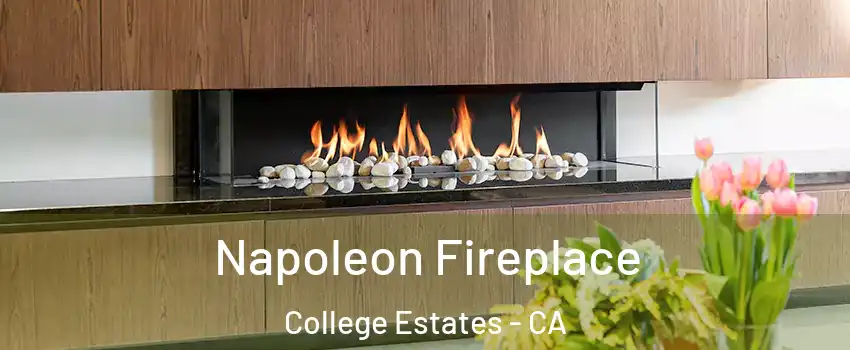 Napoleon Fireplace College Estates - CA