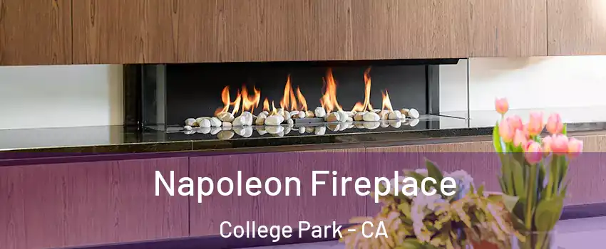 Napoleon Fireplace College Park - CA