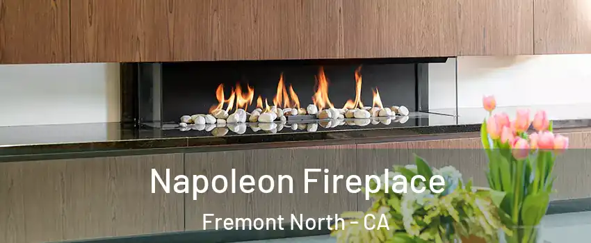 Napoleon Fireplace Fremont North - CA
