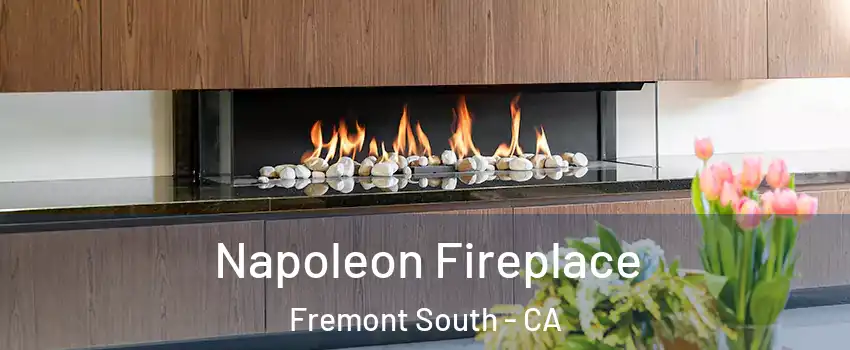 Napoleon Fireplace Fremont South - CA