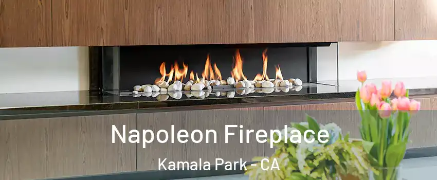 Napoleon Fireplace Kamala Park - CA