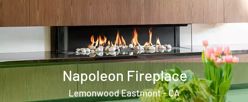 Napoleon Fireplace Lemonwood Eastmont - CA