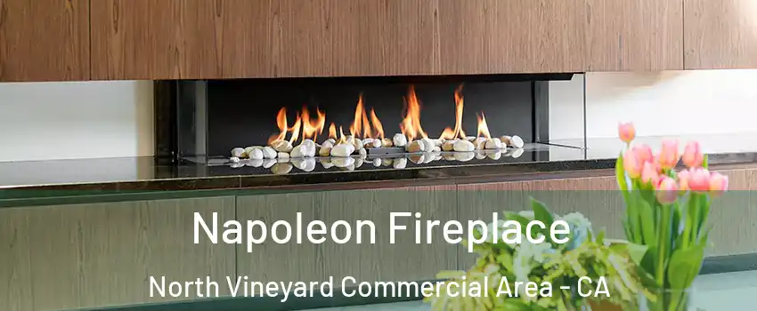 Napoleon Fireplace North Vineyard Commercial Area - CA