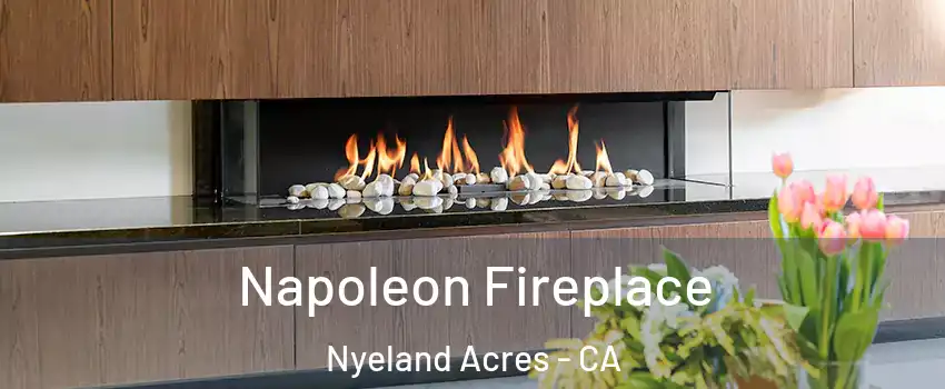 Napoleon Fireplace Nyeland Acres - CA