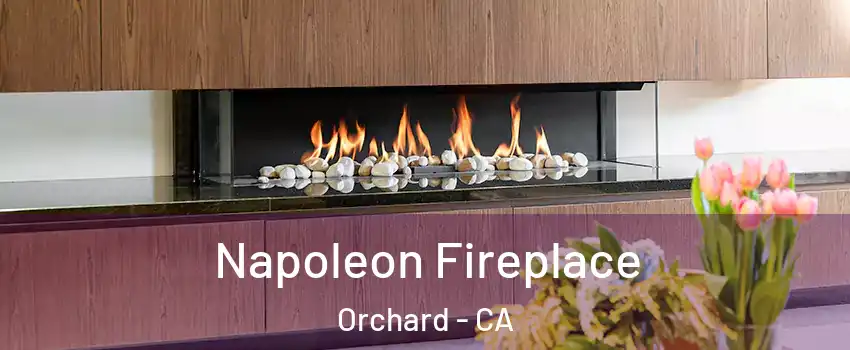 Napoleon Fireplace Orchard - CA