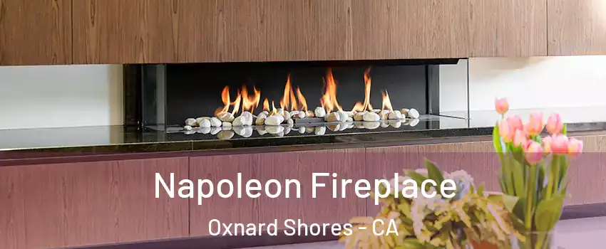 Napoleon Fireplace Oxnard Shores - CA