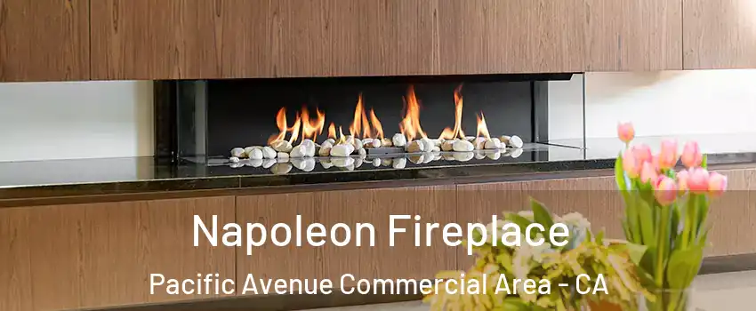 Napoleon Fireplace Pacific Avenue Commercial Area - CA