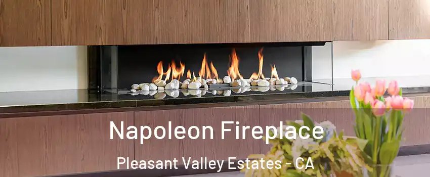Napoleon Fireplace Pleasant Valley Estates - CA