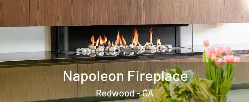 Napoleon Fireplace Redwood - CA