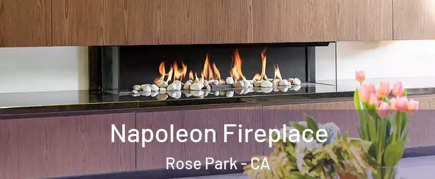 Napoleon Fireplace Rose Park - CA