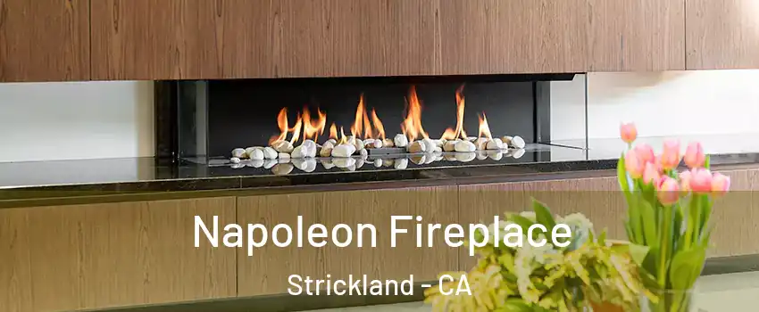 Napoleon Fireplace Strickland - CA