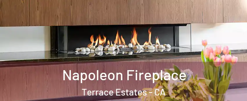 Napoleon Fireplace Terrace Estates - CA
