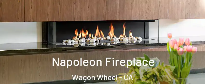 Napoleon Fireplace Wagon Wheel - CA