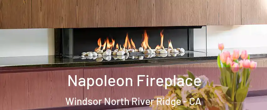 Napoleon Fireplace Windsor North River Ridge - CA