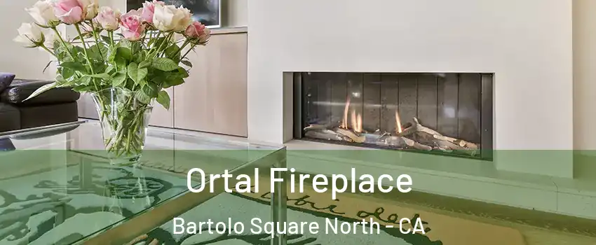 Ortal Fireplace Bartolo Square North - CA