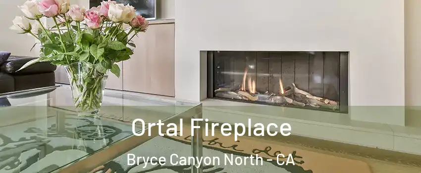Ortal Fireplace Bryce Canyon North - CA