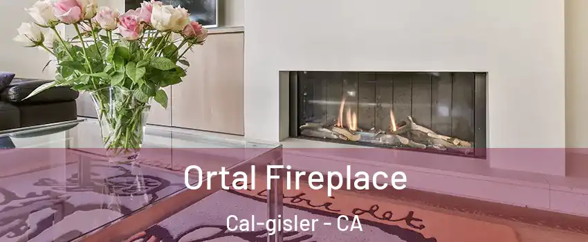 Ortal Fireplace Cal-gisler - CA