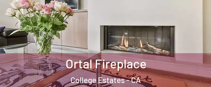 Ortal Fireplace College Estates - CA