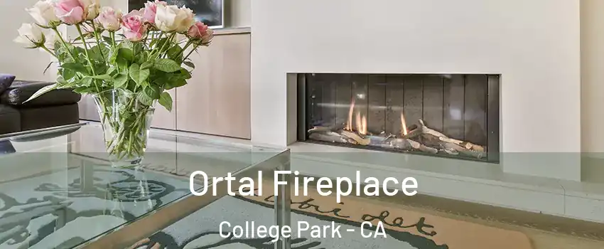 Ortal Fireplace College Park - CA