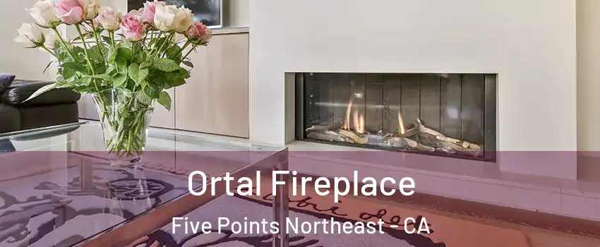 Ortal Fireplace Five Points Northeast - CA