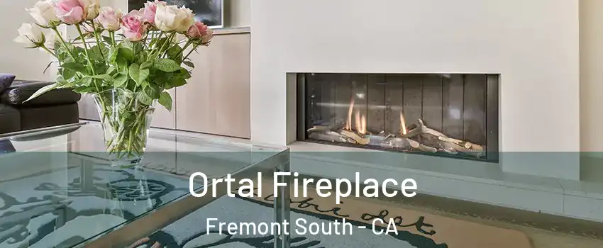 Ortal Fireplace Fremont South - CA