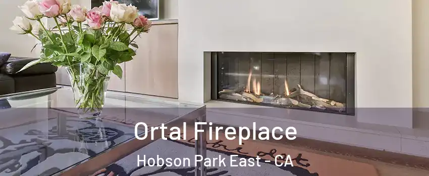 Ortal Fireplace Hobson Park East - CA