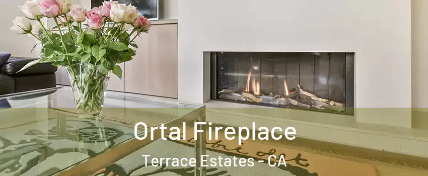 Ortal Fireplace Terrace Estates - CA